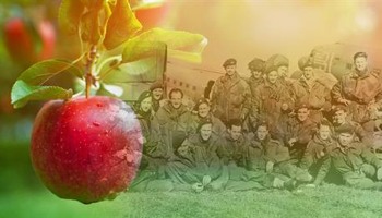 Heroes Commemorative Orchard