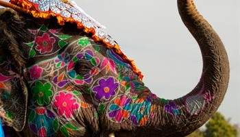 Children's Storytelling Festival