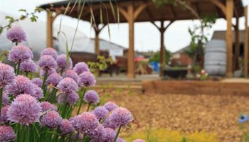 A Picnic Area for Meadow Well Residents