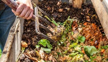 Greenbank Park Community Compost