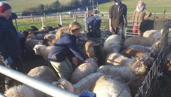 Junior Community Farmers at Perry Court