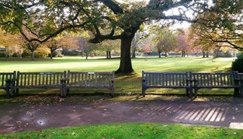 Bands In The Park