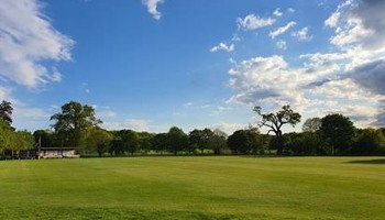 Support White Waltham Cricket Club