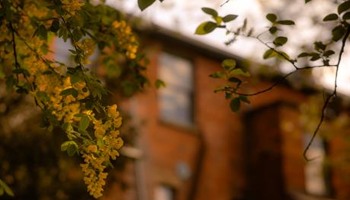Grow a Yoga Home in the Heart of Ludlow