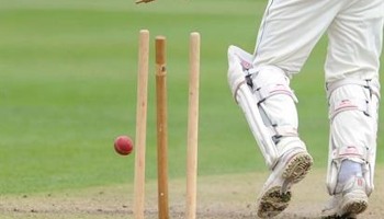 Support Brighton Xiles Cricket Club