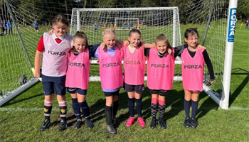 Help improve Saughall Colts JFC grounds