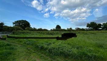 Help Bring Access for All to Park Fields