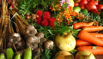 Paxton Primary allotment