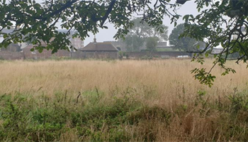 Community Orchard at Captains Garden