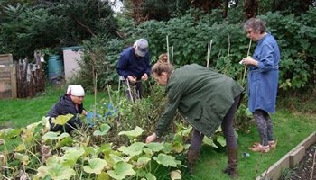 Isleworth Community Allotment