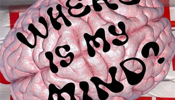 Where Is My Mind?