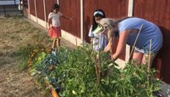 Greening Stratford Village Neighborhood