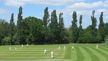 Support Brentham Junior Cricket
