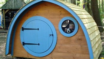Mystical outdoor learning space!