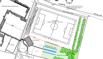 Foreland's Field of Dreams