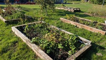Growing Together: Enfield School Gardens