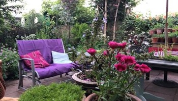 Sustainable Urban Community Garden