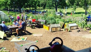 Safe paths for Clapham community garden