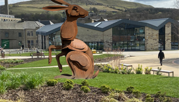 Bring Back the Hare to Rawtenstall