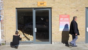 Vulpes Vulpes New Space