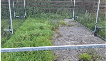 Regenerate our Tetbury Cricket Nets!