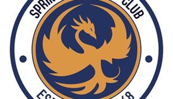 Help keep Springhill Cricket Club going
