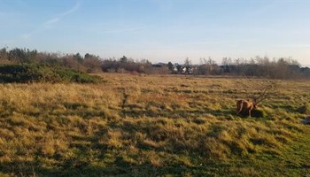 Melyn Mynach Park: Bigger & Better