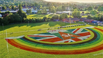Help Malvern RFC Go Green