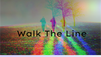  Walk The Line 