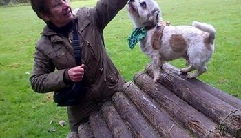 Activity Trail for Dogs Jubilee Park N9