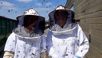 Worthing Honey Collective