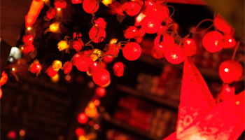 Halow's Night of Light - Christmas event