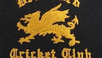 Help Droxford Cricket Club!