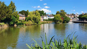 New Floating Duck House - Lindfield Pond