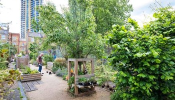 A new neighbourhood hub for the Elephant